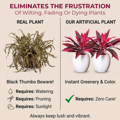 🔥Last Day 50% OFF🔥2Pcs Artificial Boston Fern & Dragon's Blood Tree Plants