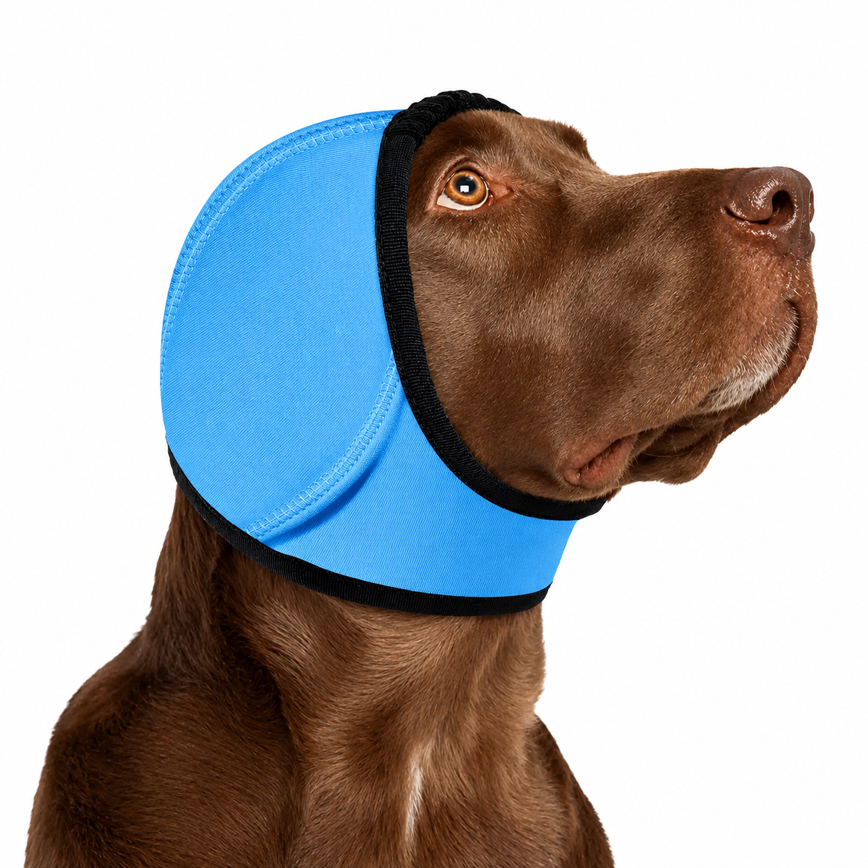 Sound-Dampening Dog Ear Wrap for Fireworks & Storm Anxiety 🐶