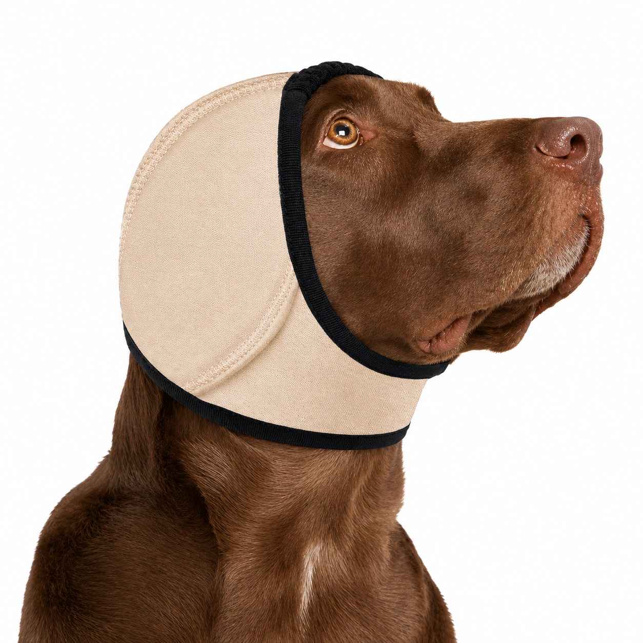 Sound-Dampening Dog Ear Wrap for Fireworks & Storm Anxiety 🐶