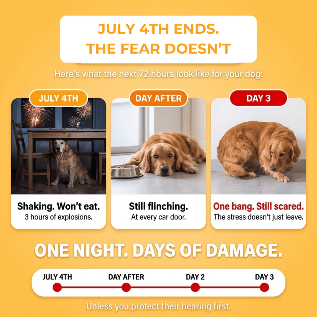 Sound-Dampening Dog Ear Wrap for Fireworks & Storm Anxiety 🐶