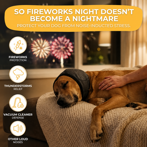 Sound-Dampening Dog Ear Wrap for Fireworks & Storm Anxiety 🐶